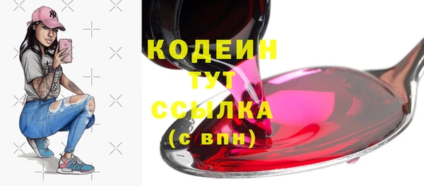 мдпв Пестово