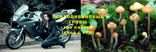 эйфоретик Луховицы