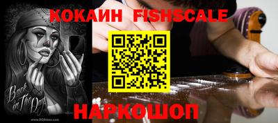 индика Донецк