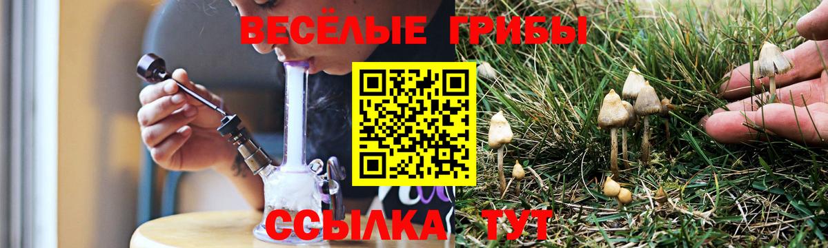 Псилоцибиновые грибы мухоморы Сокол