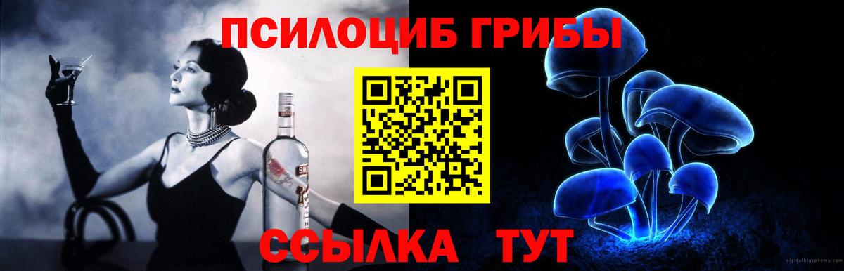 где найти   Галлюциногенные грибы Psilocybe  Вход с VPN  Сокол 